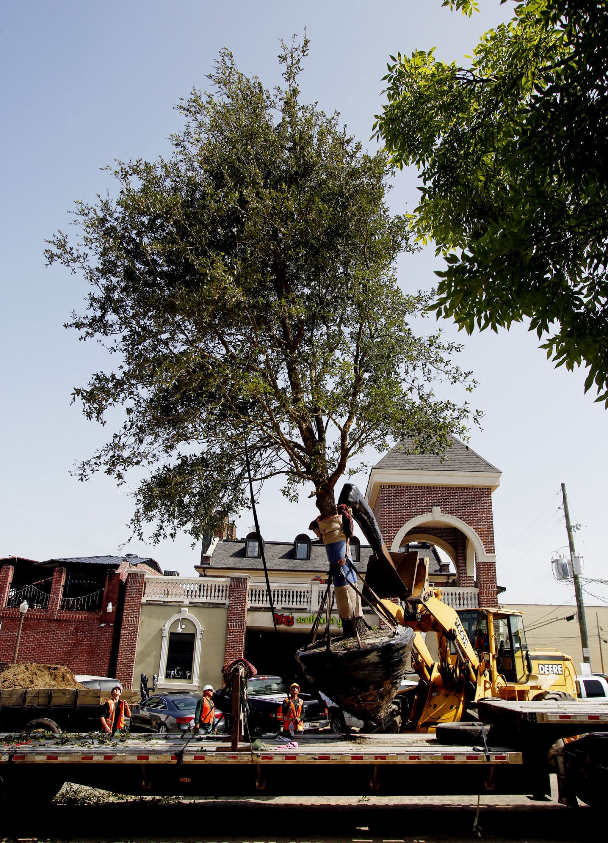 Toomer's Corner Tree Replaced